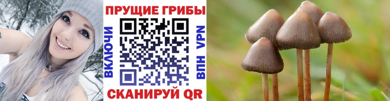 Псилоцибиновые грибы мицелий  OMG как войти  Кызыл 