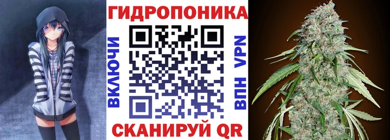 hydra ссылка  наркотики  Кызыл  Шишки марихуана VHQ 